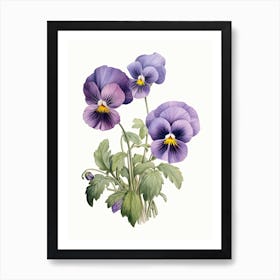 Pansies Flower Vintage Botanical 3 Art Print