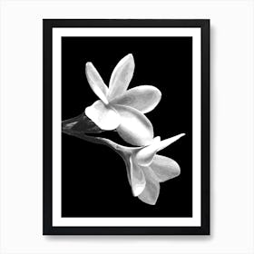 Black and White Flowers Art Print
