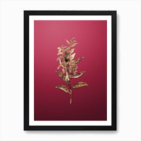 Gold Botanical Evergreen Oak on Viva Magenta n.2295 Art Print