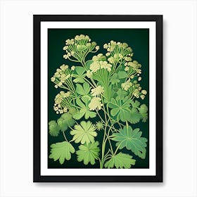 Meadow Rue Wildflower Vintage Botanical Art Print