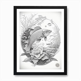 Asagi Koi Fish Haeckel Style Illustastration Art Print