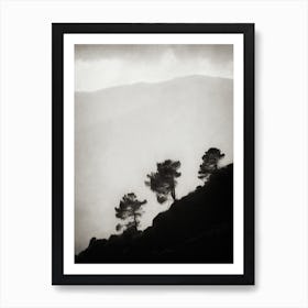 Mountainside Trees Art Print