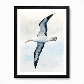 Bird In Flight Art Print