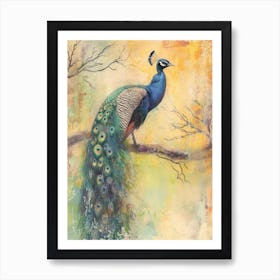 Peacock On A Tree Textured Drawing Art Print