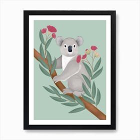 Koala Bear In Eucalyptus Tree Art Print