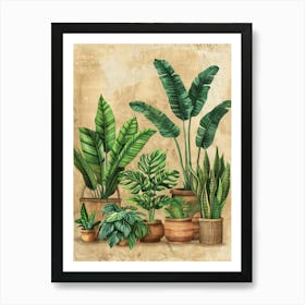 Tropical Plants In Pots 2 Art Print