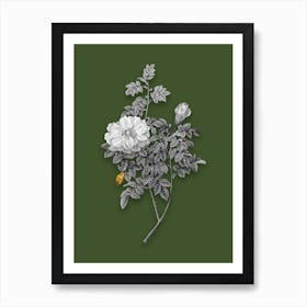 Vintage Ventenats Rose Black and White Gold Leaf Floral Art on Olive Green n.0112 Art Print