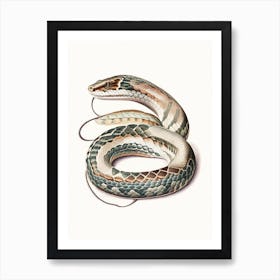 Python Snake 1 Vintage Art Print