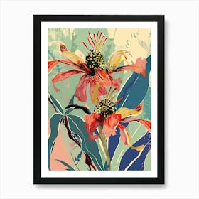 Colourful Flower Illustration Bee Balm 4 Art Print