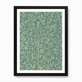 Redwood 2 tree Vintage Botanical Art Print