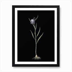 Vintage Chess Flower Botanical Illustration on Solid Black n.0077 Art Print