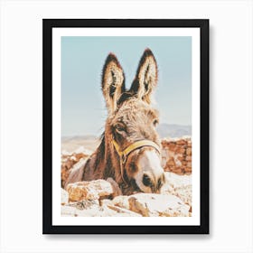 Desert Donkey Art Print