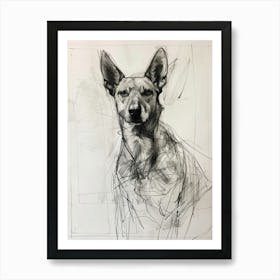 Canaan Dog Charcoal Line 1 Art Print