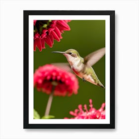 Female Ruby Throated Hummingbird -Reimagined 1 Art Print