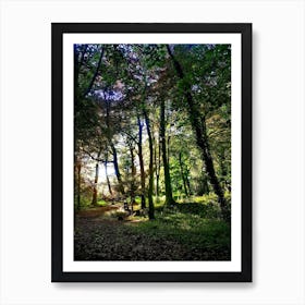 Woods Art Print