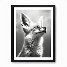 Bengal Fox Portrait Pencil Drawing 2 Art Print