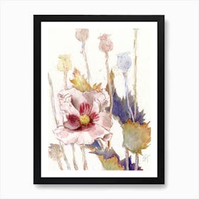 Poppy Watercolor Sketch Art Print