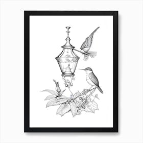 Hummingbird And Hummingbird Feeder Vintage Botanical Line Drawing Art Print