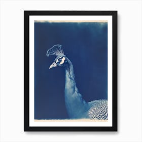 Blue Cyanotype Peacock Portrait Profile Art Print