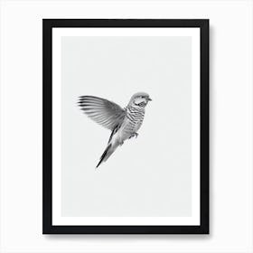 Budgerigar B&W Pencil Drawing 2 Bird Art Print