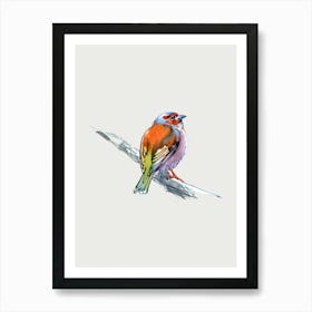 Watercolor Bird Art Print