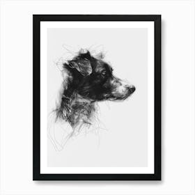 Shepherd Dog Charcoal Line 3 Art Print