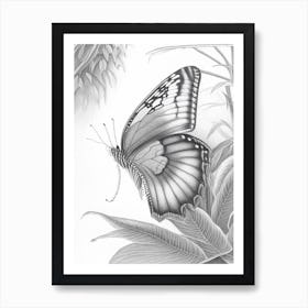Butterfly In Botanical Gardens Greyscale Sketch 1 Art Print