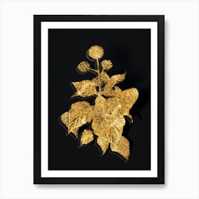 Vintage Common Ivy Botanical in Gold on Black Art Print