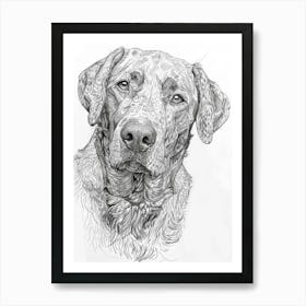 Chesapeake Bay Retriever Sketch 3 Art Print