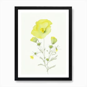 Buttercup Floral Quentin Blake Inspired Illustration 2 Flower Art Print