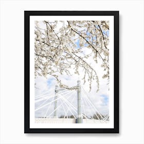 Albert Bridge Blossom Art Print