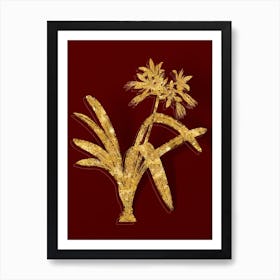 Vintage Pancratium Illyricum Botanical in Gold on Red n.0538 Art Print