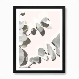 Eucalyptus Leaves 3_2061449 Art Print