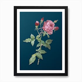 Vintage Provence Rose Botanical Art on Teal Blue Art Print