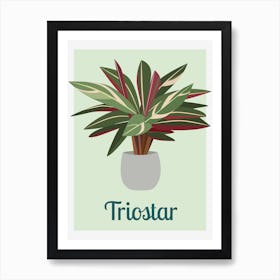 Triostar Houseplant Art Print