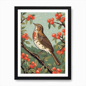 Vintage Bird Linocut Hermit Thrush 1 Art Print