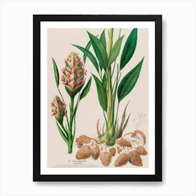 Plant With Flowers And Leaves Art Print