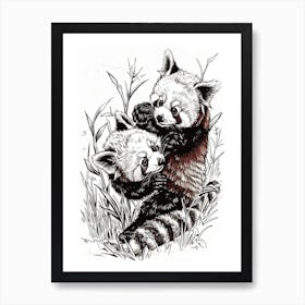 Red Panda Playing Together In A Meadow Ink Illustration 1 Art Print