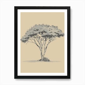 Acacia Tree Minimalistic Drawing 2 Art Print