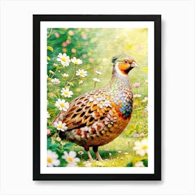 Partridge In Garden Flower Nature Art Print