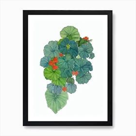 Angel Wing Begonia (Begonia X Corallina) Watercolor Art Print