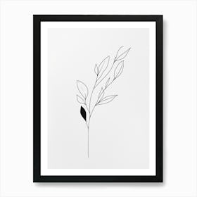 Line Drawing Of A Leaf 19 Art Print