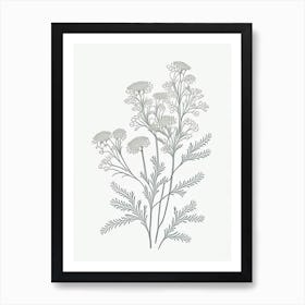 Feverfew Herb William Morris Inspired Line Drawing 1 Art Print