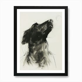 Black Dog Charcoal Line Art Print