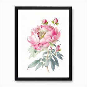 Peony Floral Quentin Blake Inspired Illustration 1 Flower Art Print