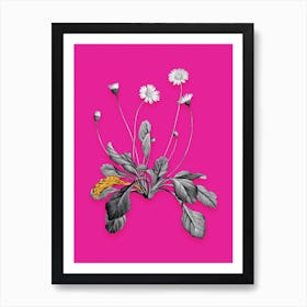 Vintage Daisy Flowers Black and White Gold Leaf Floral Art on Hot Pink Art Print