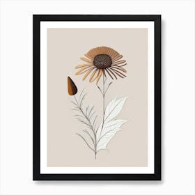 Echinacea Spices And Herbs Retro Minimal 4 Art Print