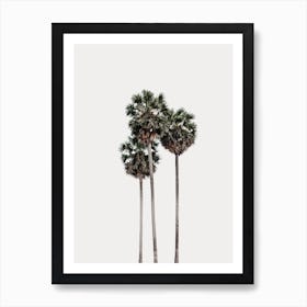 Three Palm Trees Art Print