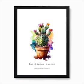 Ladyfinger Cactus Art Print