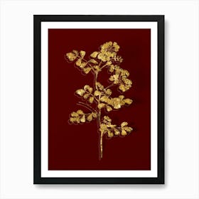 Abnqa Vintage Scorpion Vetch Plant Botanical In Gold On Red N Art Print